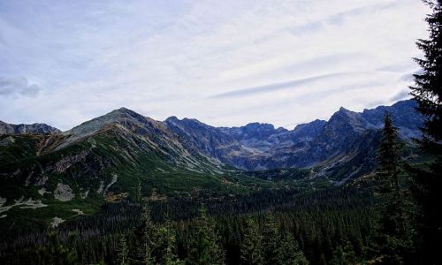 Zdjecie POLSKA / maopolskie / zakopane / Tatry