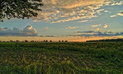 Zdjęcie POLSKA / WIELKOPOLSKA / Kalisz / Wielkopolskie pejzaże.