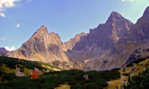 Zdjecie POLSKA / - / Tatry / ...