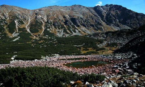 Zdjecie POLSKA / Tatry /  Czerwonego Stawu, ley na wysokoci 1654 m n.p.m.  / Cerwony Staw