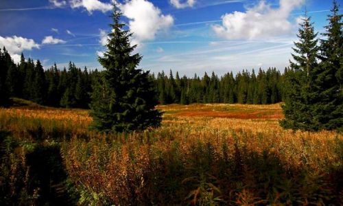 Zdjecie POLSKA / Tatry / Tatry / Polana