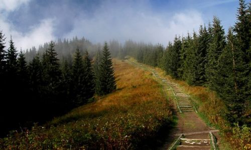 Zdjecie POLSKA / Tatry / Tatry Polana Rusinowa  / Pod gr