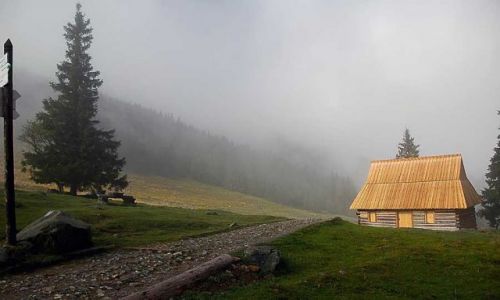 Zdjecie POLSKA / Tatry / Tatry Polana Rusinowa  / ..