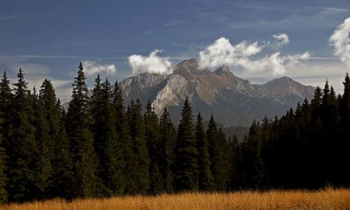 Zdjecie POLSKA / Tatry / Waksmundzka Rwie i widok na Tatry Bielskie  / ...