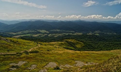 Zdjcie POLSKA / podkarpackie / Wetlina / Bieszczady. W drodze na Tarnic. W dole Wetlina.
