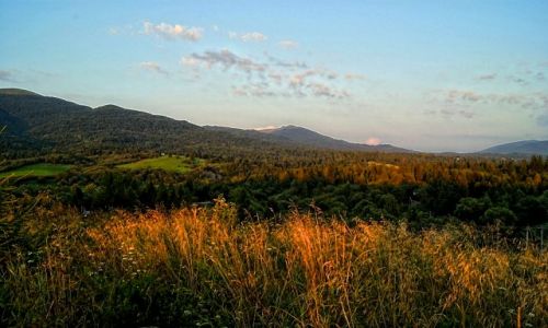 Zdjcie POLSKA / podkarpackie / Smerek / Bieszczady. Smerek.