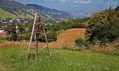 Zdjecie POLSKA / Podhale / Zakopane / okolice / Ostrewki
