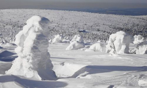 Zdjecie POLSKA / Karkonosze / Hala Szrenicka / z Hali Szrenickiej