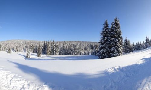 Zdjcie POLSKA / Gry Izerskie / Jakuszyce / Z tras biegowych w Jakuszycach