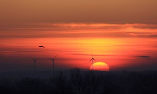 Zdjecie POLSKA / Pomorze / Okolice Koobrzegu / Wiatraki