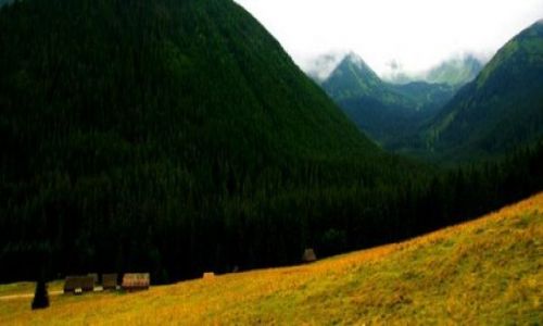 Zdjecie POLSKA / - / Tatry / Dolina Chochoowska