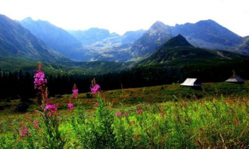 Zdjecie POLSKA / - / Tatry / Hala Gsienicowa