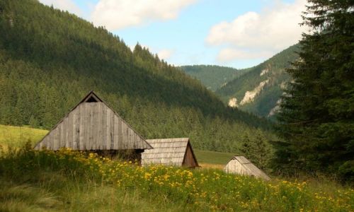 Zdjecie POLSKA / Tatry / Dolina Chochoowska / Szaasy na Chochoowskiej