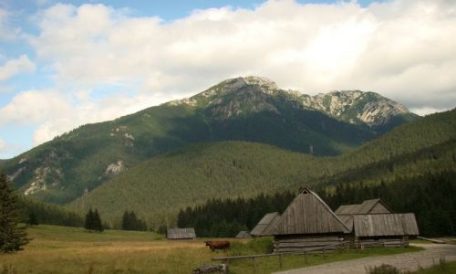 Zdjecie POLSKA / Tatry / Dolina Chochoowska / Kominiarski Wierch