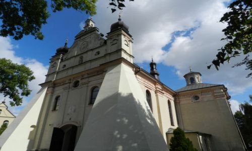 Zdjcie POLSKA / Lubelszczyzna / Turobin / Koci w Turobinie
