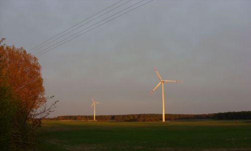 Zdjecie POLSKA / Mazury / okolice Ktrzyna / Wiatraki
