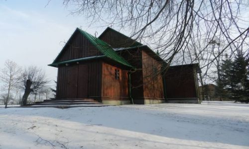 Zdjcie POLSKA / Lubelszczyzna / Turobin / Koci w Czernicinie
