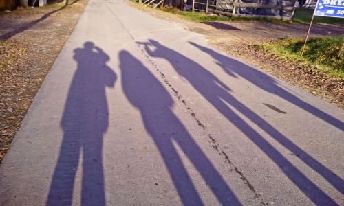 Zdjecie POLSKA / Bieszczady / Solina / Paparazzi w akcji :) 