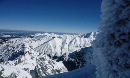 Zdjecie POLSKA / Tatry / .. / widok z Rys na Tatry Sk w oddali Tary Bielskie