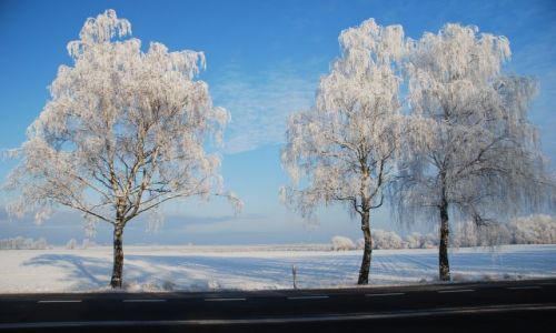 Zdjęcie POLSKA / Zachodniopomorskie / Okolise Maszewa / Zimowy krajobraz
