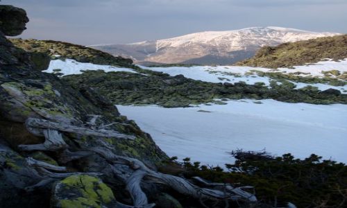 Zdjecie POLSKA / Tatry Zachodnie / ornak / dla takich widokow sie zyje..