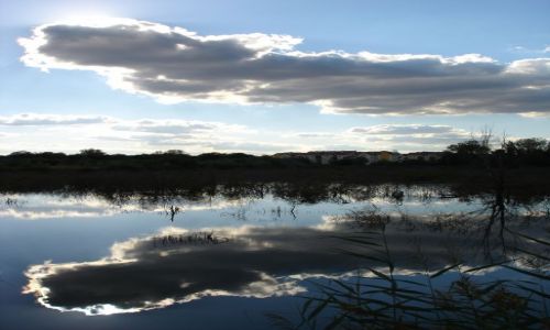 Zdjęcie POLSKA / - / maly staw / maly staw