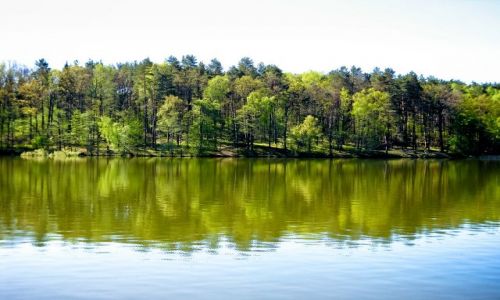 Zdjęcie POLSKA / Mazury / Jezioro Nidzkie / Wyciszenie