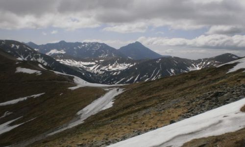 Zdjecie POLSKA / Podkarpackie / Tatry / Pocztwka z Tatr