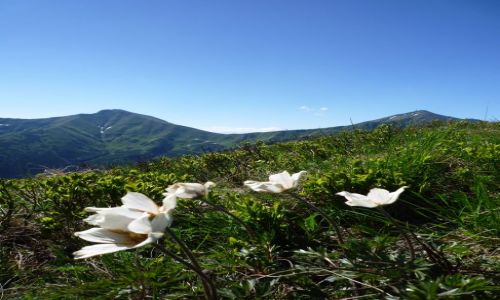 Zdjecie POLSKA / maopolska / .. / Tatry Zachodnie