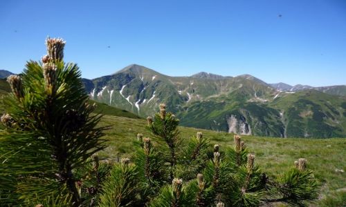 Zdjecie POLSKA / maopolska / .. / Tatry Zachodnie