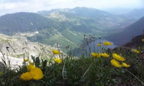 Zdjecie POLSKA / maopolska / .. / Wysokie Tatry