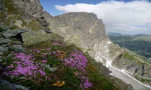 Zdjecie POLSKA / maopolska / .. / Wysokie Tatry