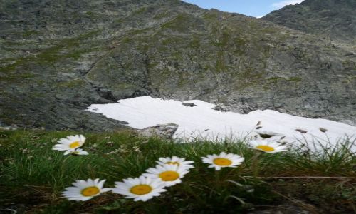 Zdjecie POLSKA / maopolska / w drodze na przecz pod chopkiem / Wysokie Tatry