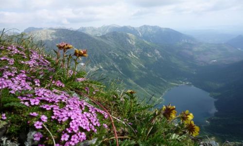 Zdjecie POLSKA / maopolska / w drodze na przecz pod chopkiem / Wysokie Tatry