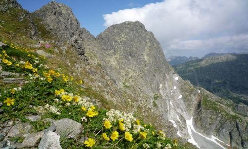Zdjecie POLSKA / maopolska / w drodze na przecz pod chopkiem / Wysokie Tatry