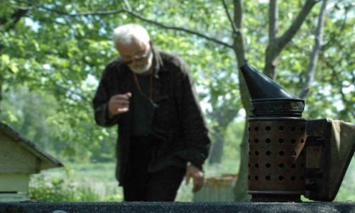 Zdjęcie POLSKA / brak / POD KAZIMIERZEM DLN / wizyta w pasiece