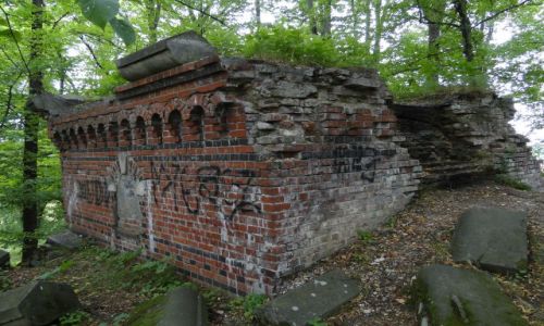 Zdjcie POLSKA / opolskie / Prudnik / Ruiny klasztorku...3
