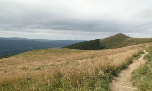 Zdjecie POLSKA / Bieszczady / Wetlina-Smerek / Bieszczadzkie cieki