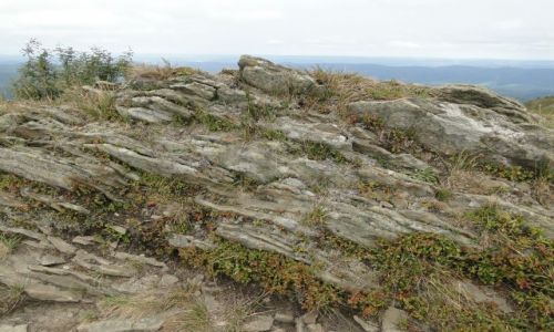 Zdjęcie POLSKA / Bieszczady / Wetlina-Smerek / Bieszczadzkie ścieżki-2