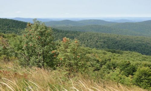 Zdjecie POLSKA / Bieszczady / Wetlina-Smerek / Z Przeczy Orowicza......