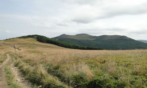 Zdjecie POLSKA / Bieszczady / Wetlina-Smerek / W stron Smereka