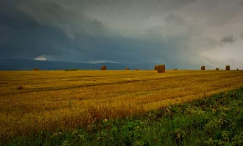 Zdjecie POLSKA / Dolnośląskie / Karkonosze / Przed burzą. Karkonosze.