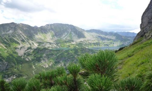 Zdjecie POLSKA / Tatry / .. / ORLA per