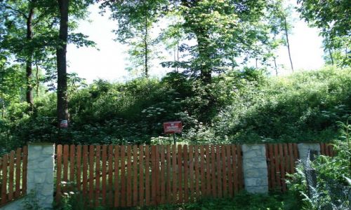 Zdjecie POLSKA / Wojewdztwo lubelskie / Roztocze / Zamek w Szczebrzeszynie