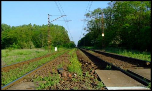 Zdjecie POLSKA / Ślask Opolski / krapkowice / w drodze