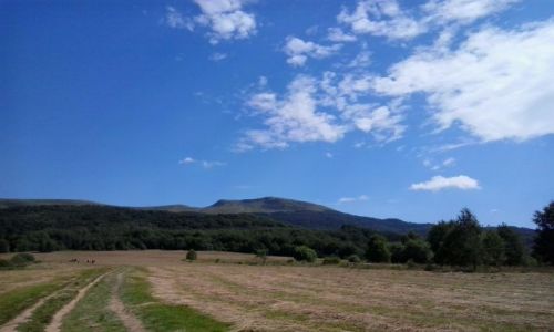 Zdjecie POLSKA / - / Bieszczady  / Tarnica 