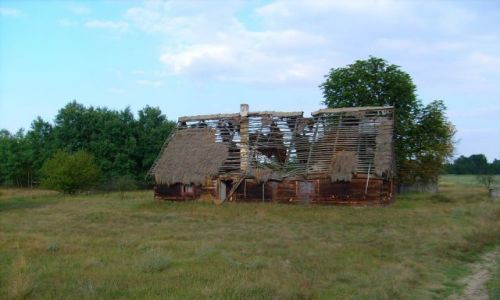 Zdjecie POLSKA / Wielkopolska / Okol. Dzierzbina / Bez strzechy