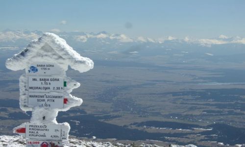 Zdjecie POLSKA / - / Babia Gra / Babia Gra zim, a raczej widok z niej na Tatry :)