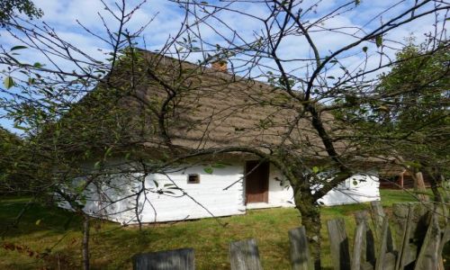 Zdjcie POLSKA / PODKARPACKIE / KOLBUSZOWA / KOLBUSZOWA - MUZEUM KULTURY LUDOWEJ