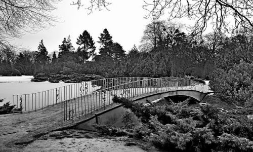 Zdjecie POLSKA / d / Park Poniatowskiego / park